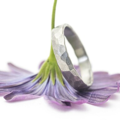 snubní prsten z titanu - Natura - velikost 56,5, šířka 4 mm, tenký, profil C - Et 2345