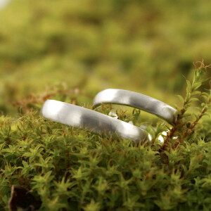 prsteny Prima silver matn